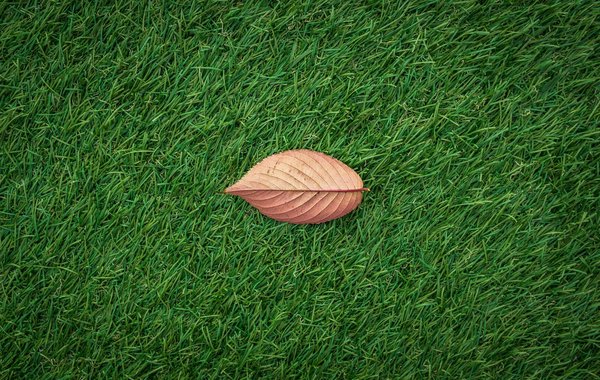 Quelles sont les avancées récentes en matière de nutrition sportive ?